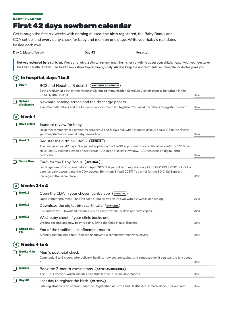 First page of the First 42 Days Newborn Calendar: tick-box rows from birth to day 42, with birth registration, CDA, jaundice review, vaccinations and the postnatal check.